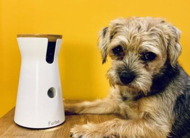 Introducing the Furbo dog camera!